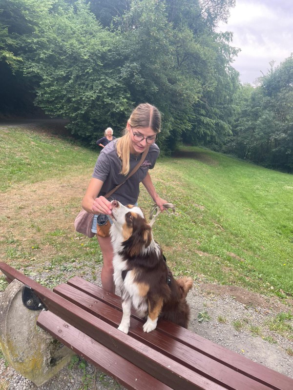 Dog Mobility