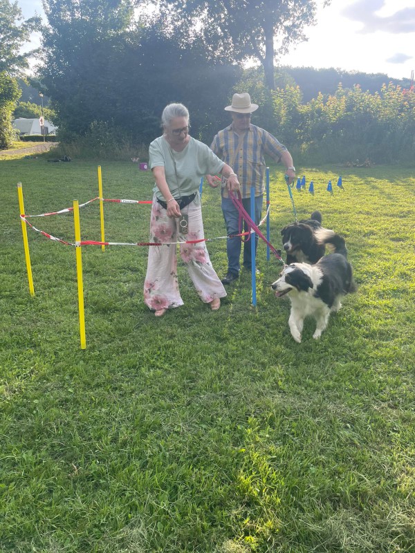 Dog Mobility