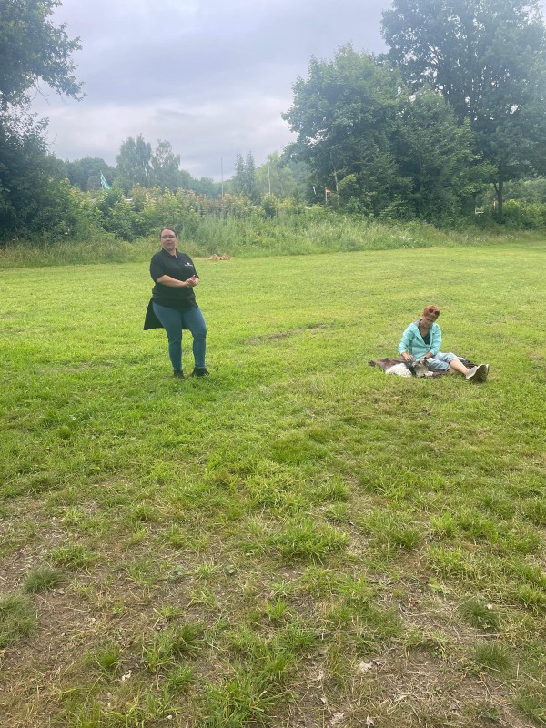 Dog Mobility
