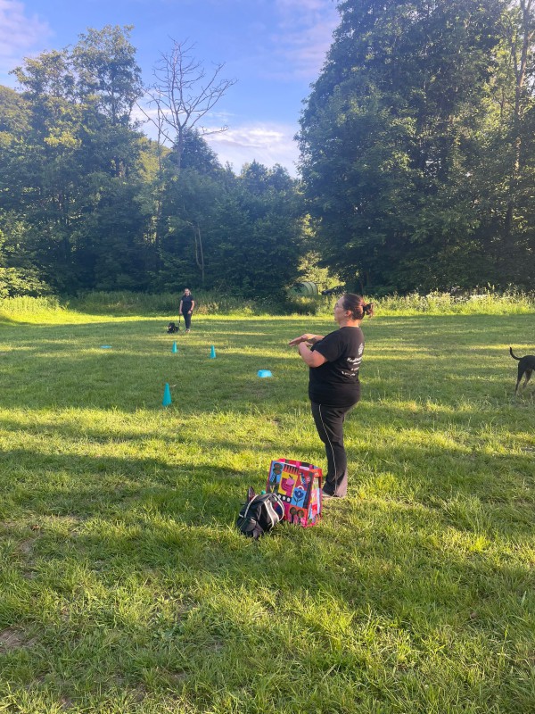 Dog Mobility