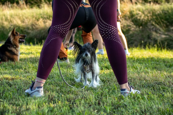 Mensch & Hund Mobility