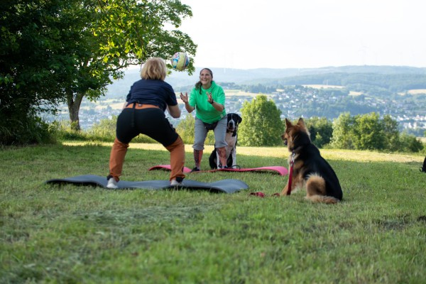 Mensch & Hund Mobility