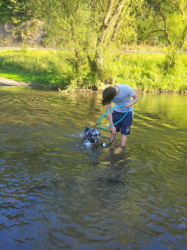 Physio Walk