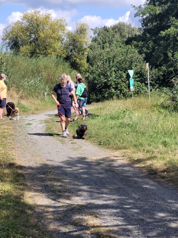 Physio Walk