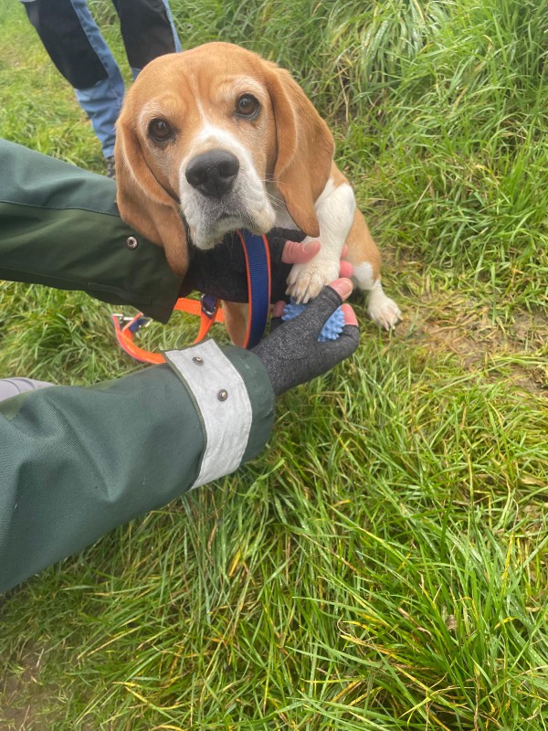 Physio Walk
