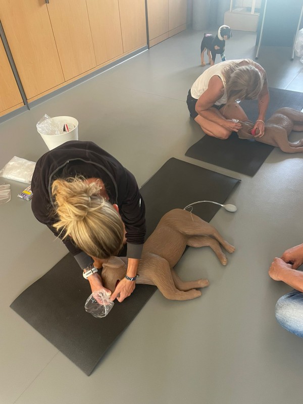 Medicaltraining + Erste Hilfe