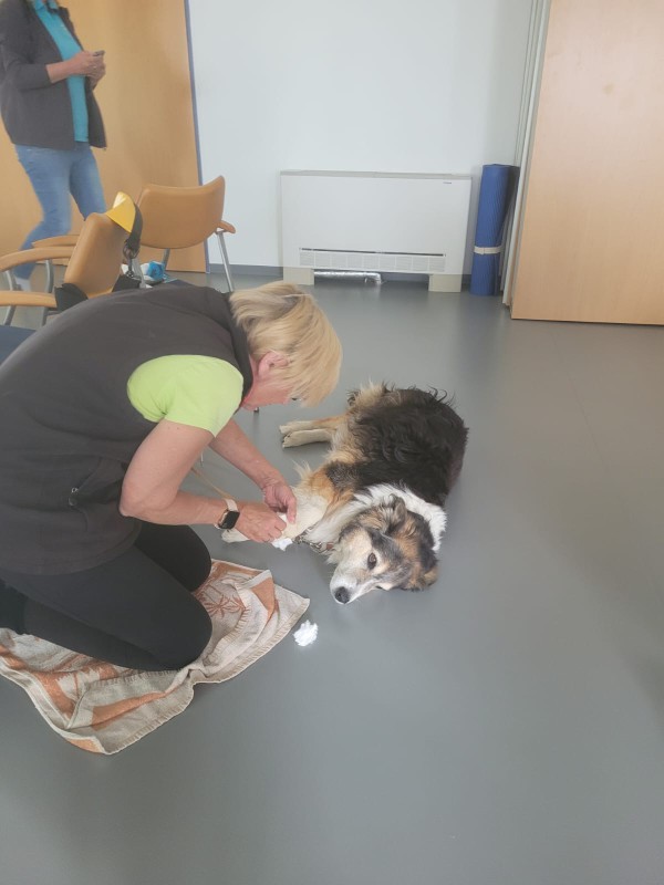Medicaltraining + Erste Hilfe