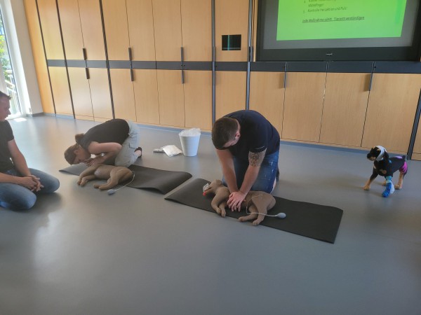 Medicaltraining + Erste Hilfe