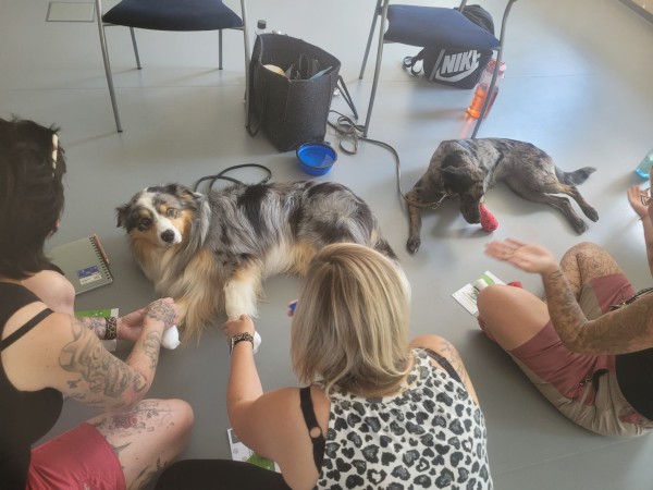 Medicaltraining + Erste Hilfe