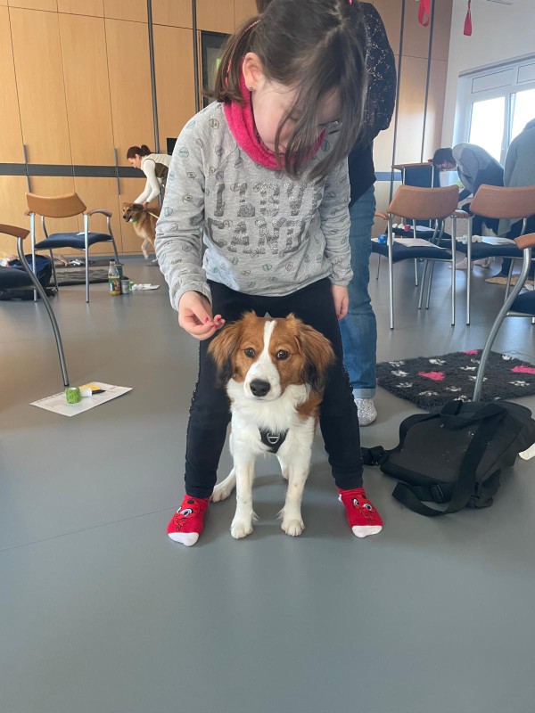 Medicaltraining + Erste Hilfe